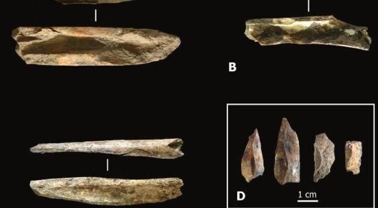 Nuovi studi su Neanderthal e Sapiens a Camerota pubblicati su rivista internazionale