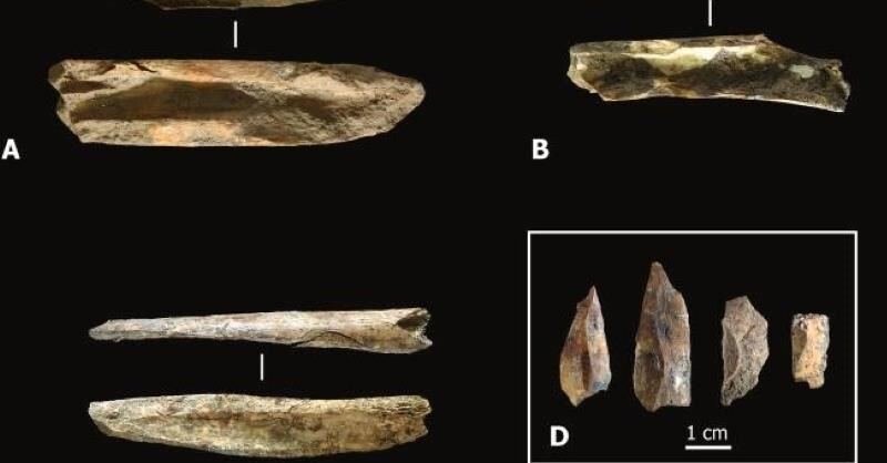 Nuovi studi su Neanderthal e Sapiens a Camerota pubblicati su rivista internazionale