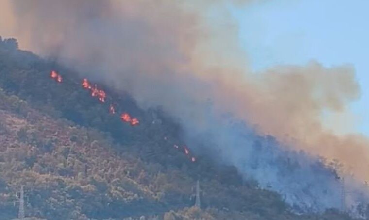 Incendio boschivo tra Petina e Sicignano degli Alburni, fumo visibile sull’A2 del Mediterraneo