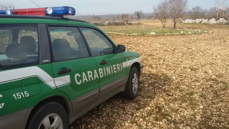 Cani in condizioni degradate a Eboli, sequestrato fabbricato e due denunce
