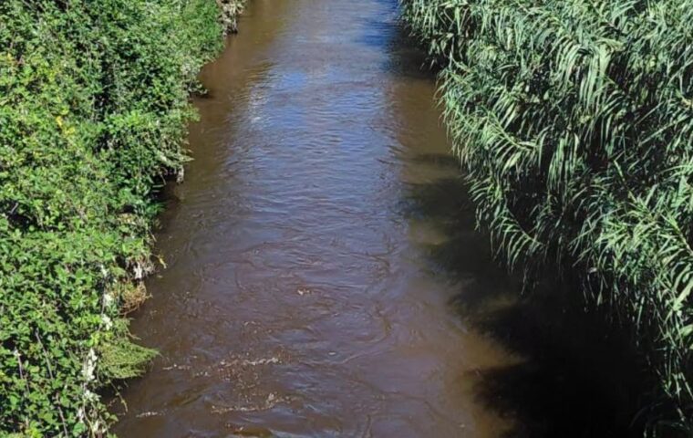 Nuovo allarme per la Solofrana a Nocera Inferiore: acqua torbida e vegetazione nell’alveo