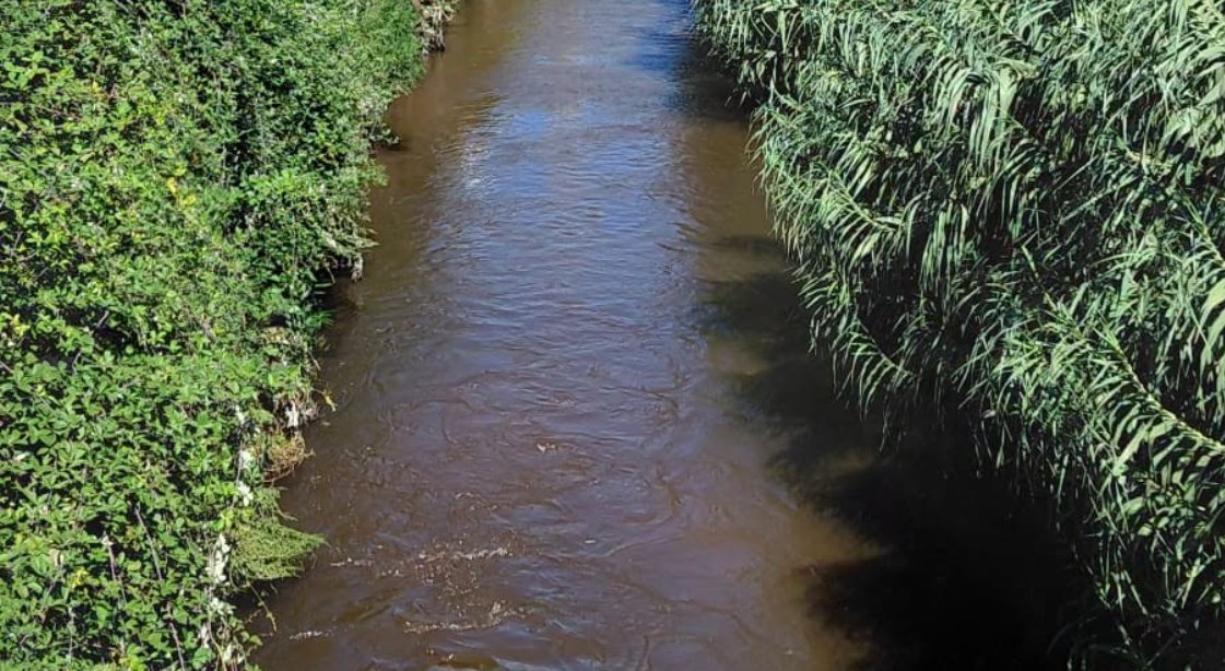 Nuovo allarme per la Solofrana a Nocera Inferiore: acqua torbida e vegetazione nell’alveo