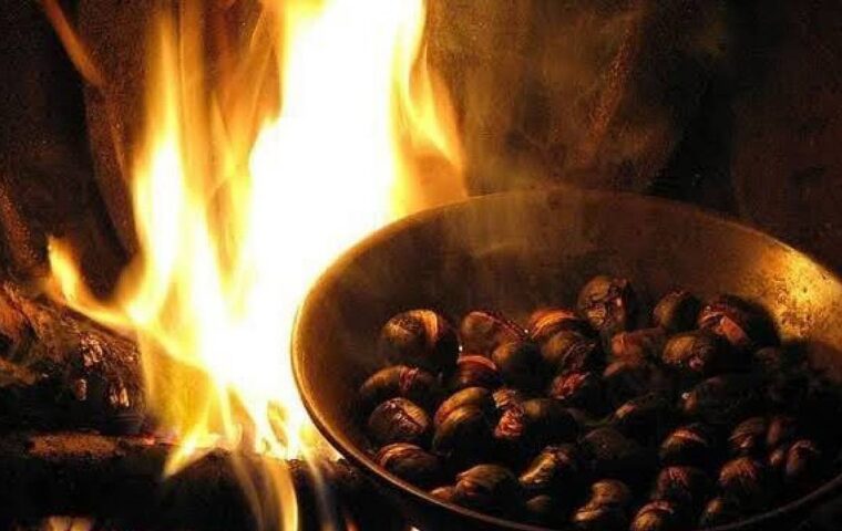 Festa della Castagna a Caselle in Pittari: sapori, musica e tradizioni autunnali