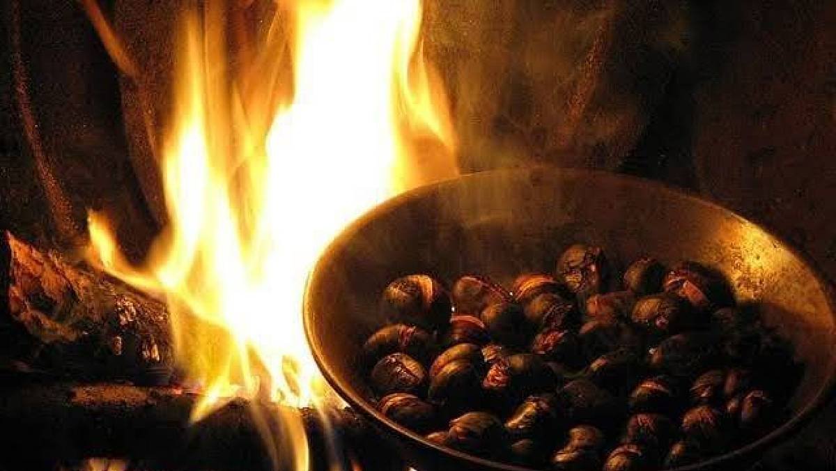 Festa della Castagna a Caselle in Pittari: sapori, musica e tradizioni autunnali