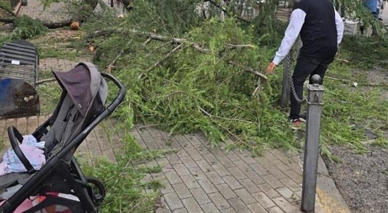 Albero cade in Piazza Amendola a Battipaglia, due donne e una bimba colpite senza gravi ferite