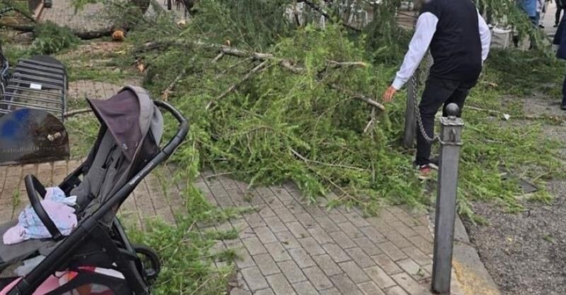 Albero cade in Piazza Amendola a Battipaglia, due donne e una bimba colpite senza gravi ferite