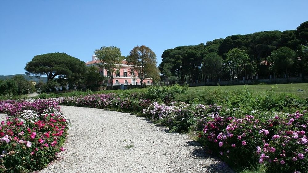 Castellabate approva unanime il confronto per la gestione di Villa Matarazzo